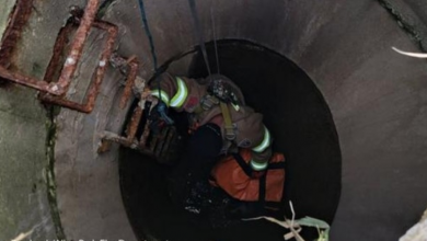 Photo of 12-Year-Old Dog dog fell 15-20 feet down a cement sewer basin & Screems For Help