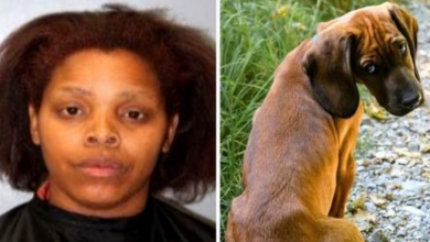 Photo of Woman Starves Dog Till He Becomes A ‘Bag Of Bones’, Desperate Dog Eats Garbage