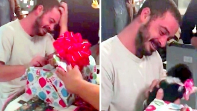 Photo of Veteran Suffering From PTSD Gets An Early Christmas Present & Bursts Into Tears