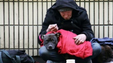 Photo of Homeless Man Pleads With Shelter To Get His Dog A Forever Home Before He Dies