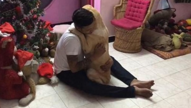 Photo of Labrador hugs his owner after surgery