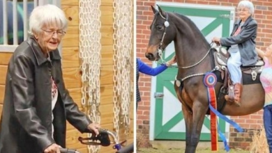 Photo of Stranger Fulfills 97-Year-Old’s Bucket List Wish, Helps Her Ride A Horse Again